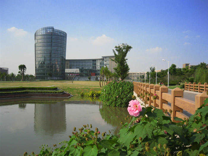 我其实并非如此喜欢你