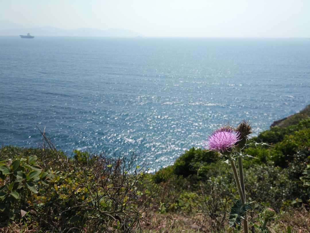 摄于塔门，海岸